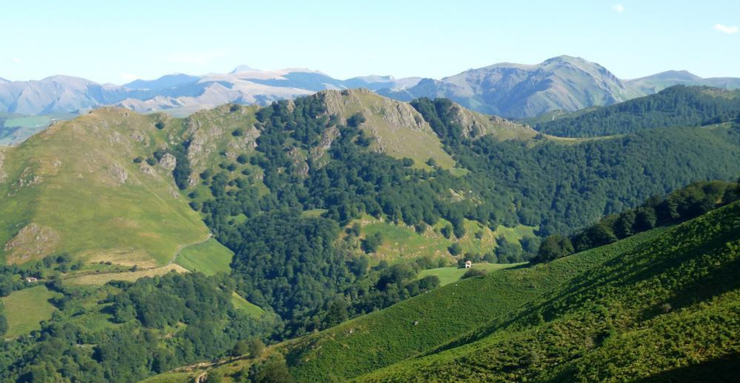 250px|thumb|right|upright=2.5|Scenery of the Pyrenees mountains